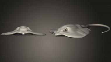 3D model Stingray (STL)